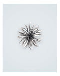Nhim Detachable Flower in Organza